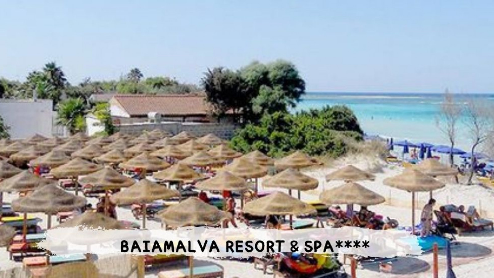 2026 puglia baiamalva IN31