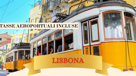 2025 lisbona immacolata 5 12 IN31