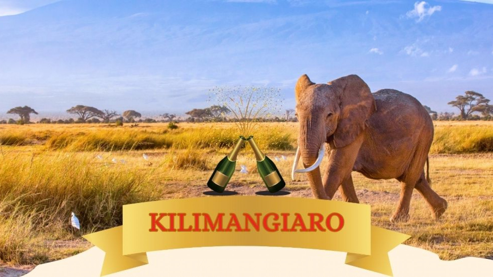 2025 africa kilimangiaro e mare natale e capodanno IN31