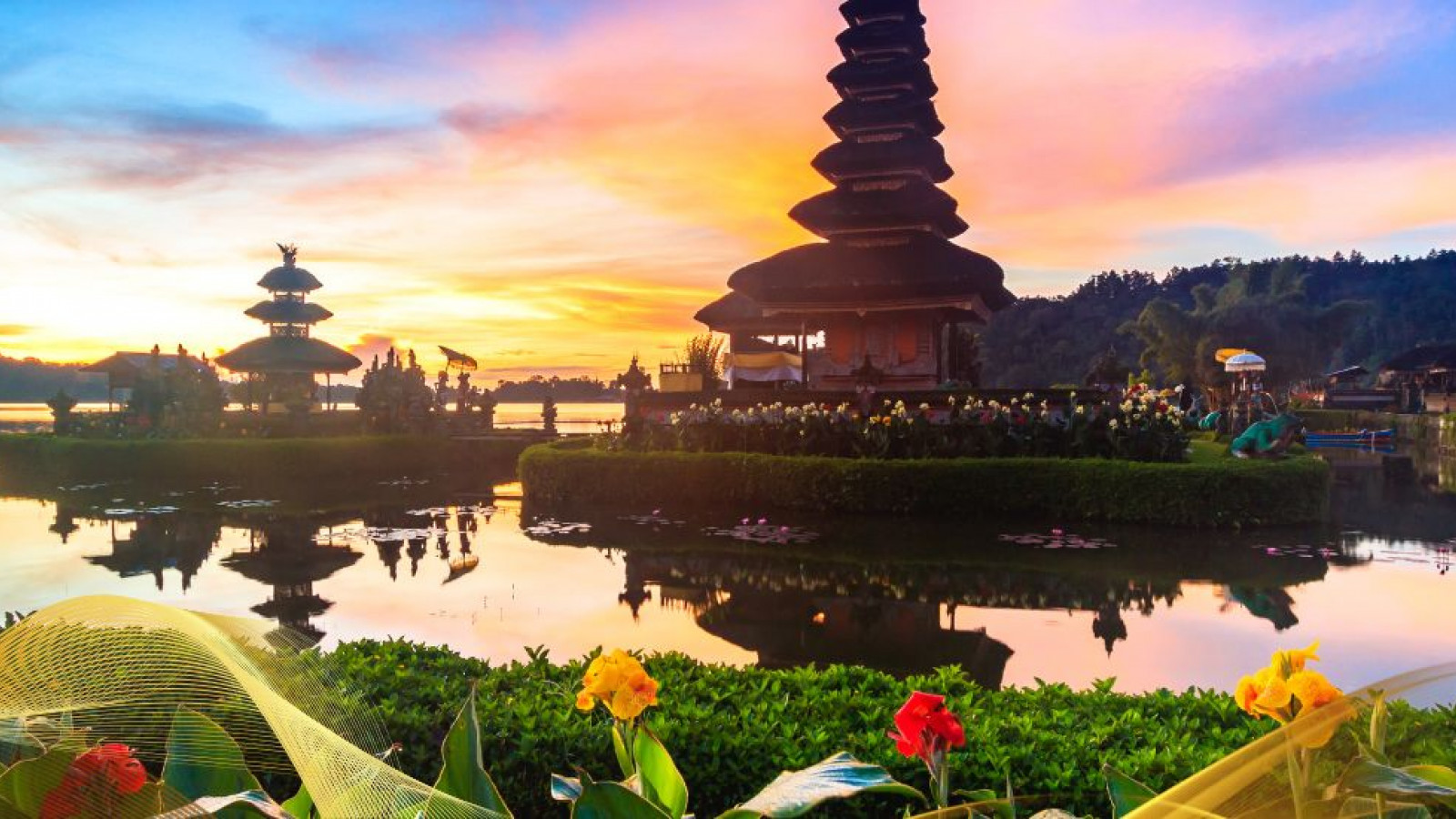 2026 bali 18 agosto B IN31