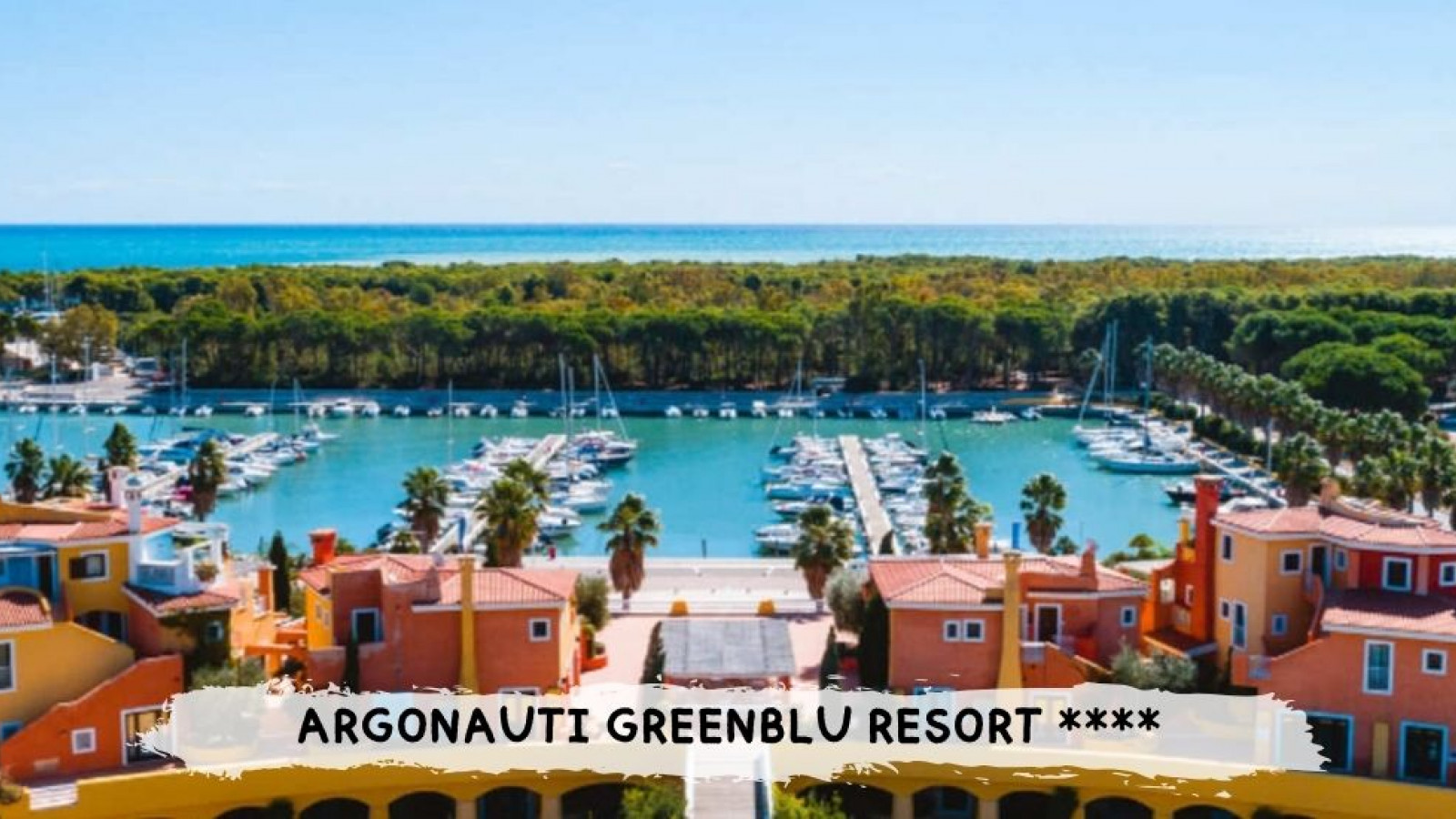 2026 basilicata argonauti IN31