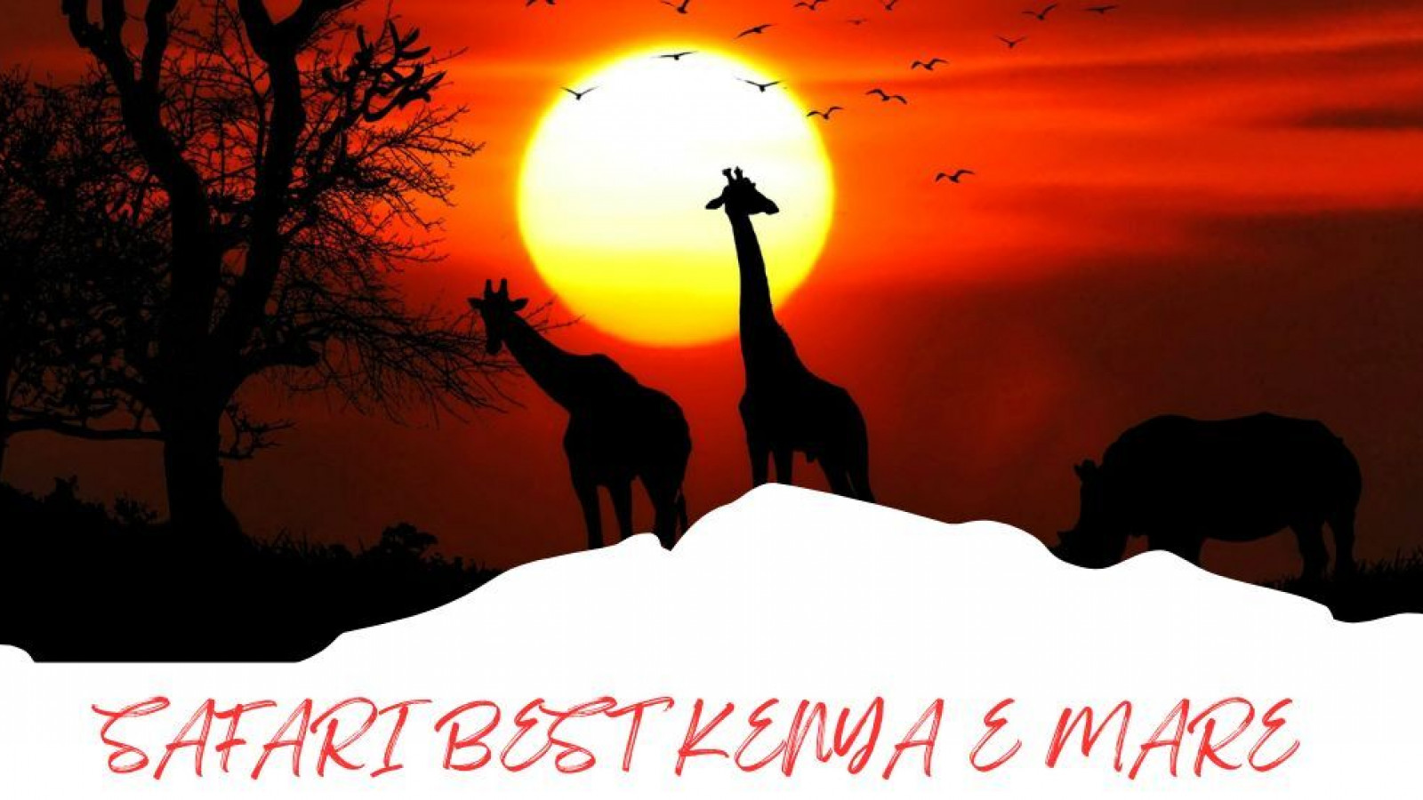 2025 africa best kenia e mare 25 IN31