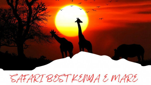 2025 africa best kenia e mare 25 IN31