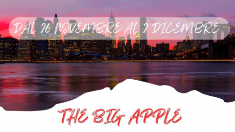 2025 stati uniti big apple 26 nov IN31