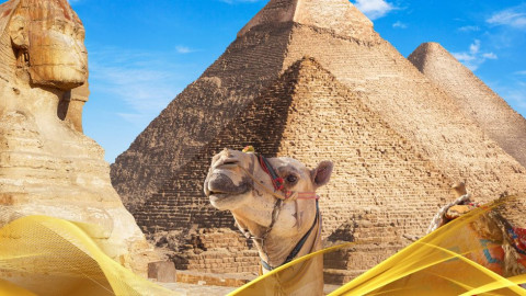 2026 cairo city break 29 05 N IN31