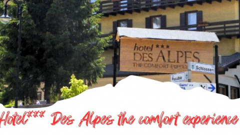 2025 trentino estate des alpes IN31