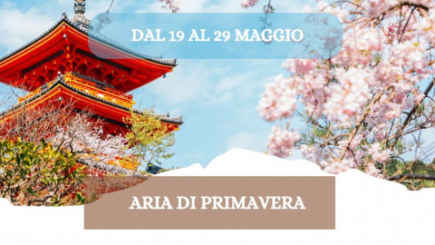 2026 W giappone aria di primavera 19 05 26 IN31