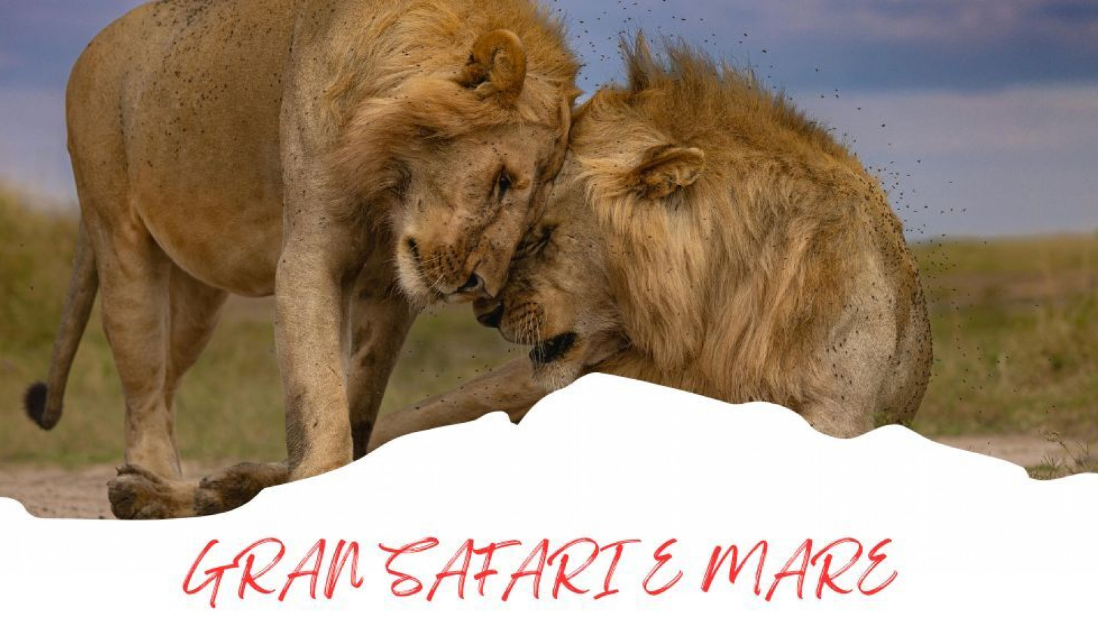 2025 africa gran safari e mare 25 IN31