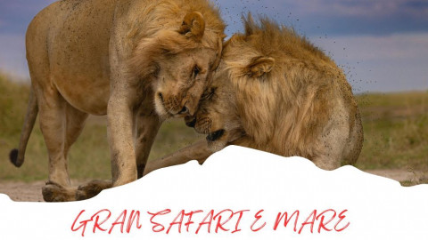 2025 africa gran safari e mare 25 IN31