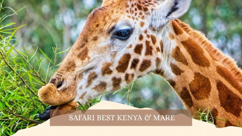 2025 africa best kenia e mare gennaio marzo 26 IN31