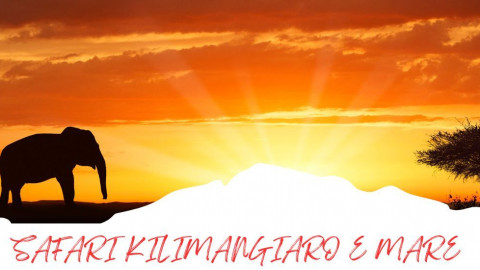 2025 africa kilimangiaro e mare 2025 IN31