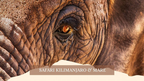 2025 africa kilimangiaro e mare gennaio marzo 2025 IN31