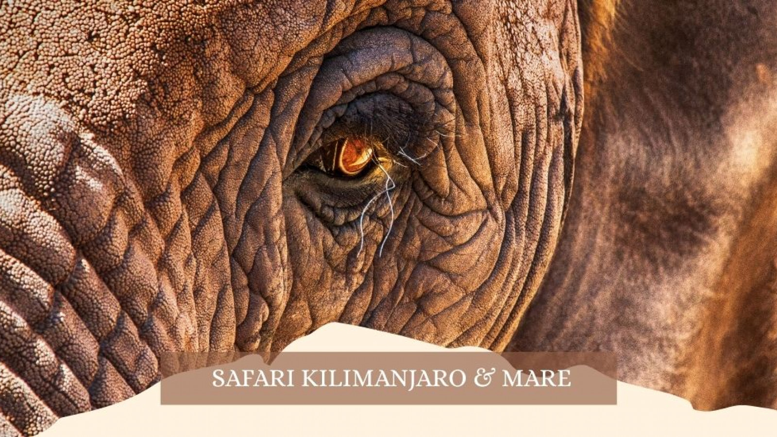 2025 africa kilimangiaro e mare gennaio marzo 2025 IN31