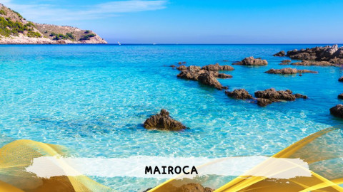 2026 maiorca agosto roma T IN31