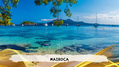 2026 maiorca 11 agosto napoli T IN31