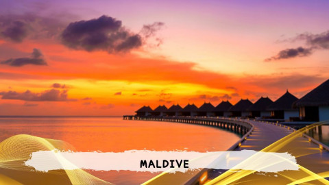 2026 maldive 8,14 agosto T IN31