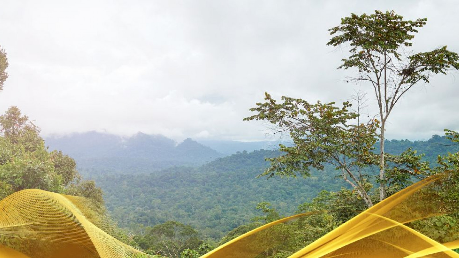 2026 malesia tour mare e altopiani 9 08 O IN31