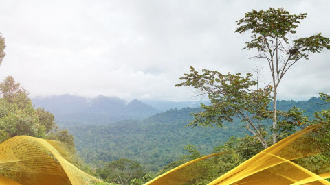 2026 malesia tour mare e altopiani 9 08 O IN31