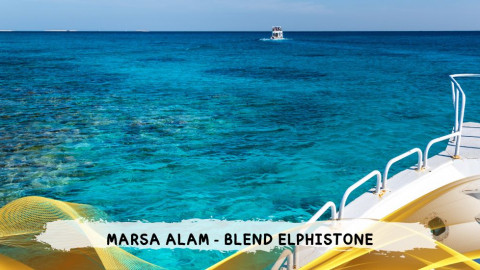 2026 marsa alam da roma blend T IN31