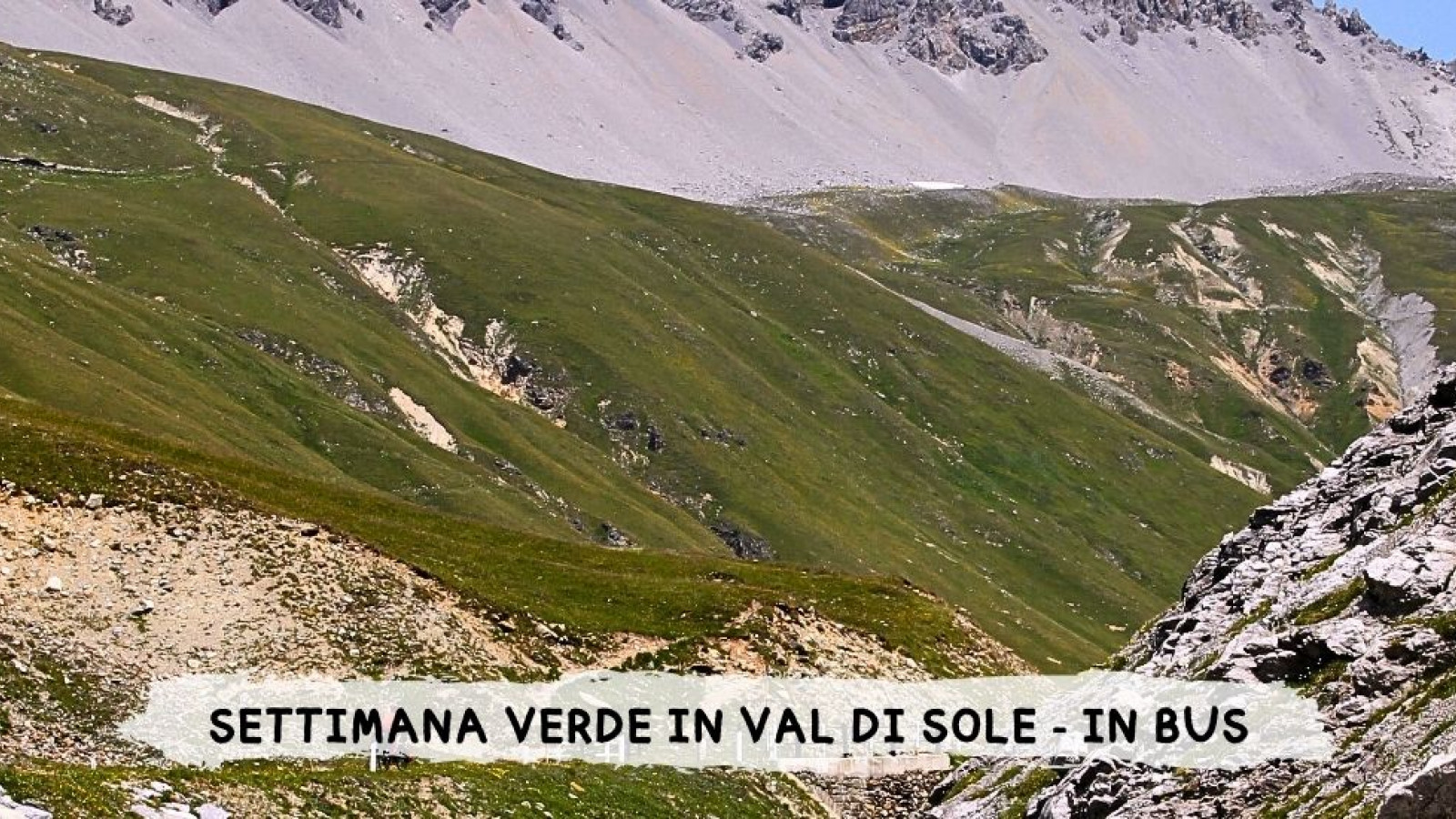 2026 W settimana verde val di sole 29 08 IN31