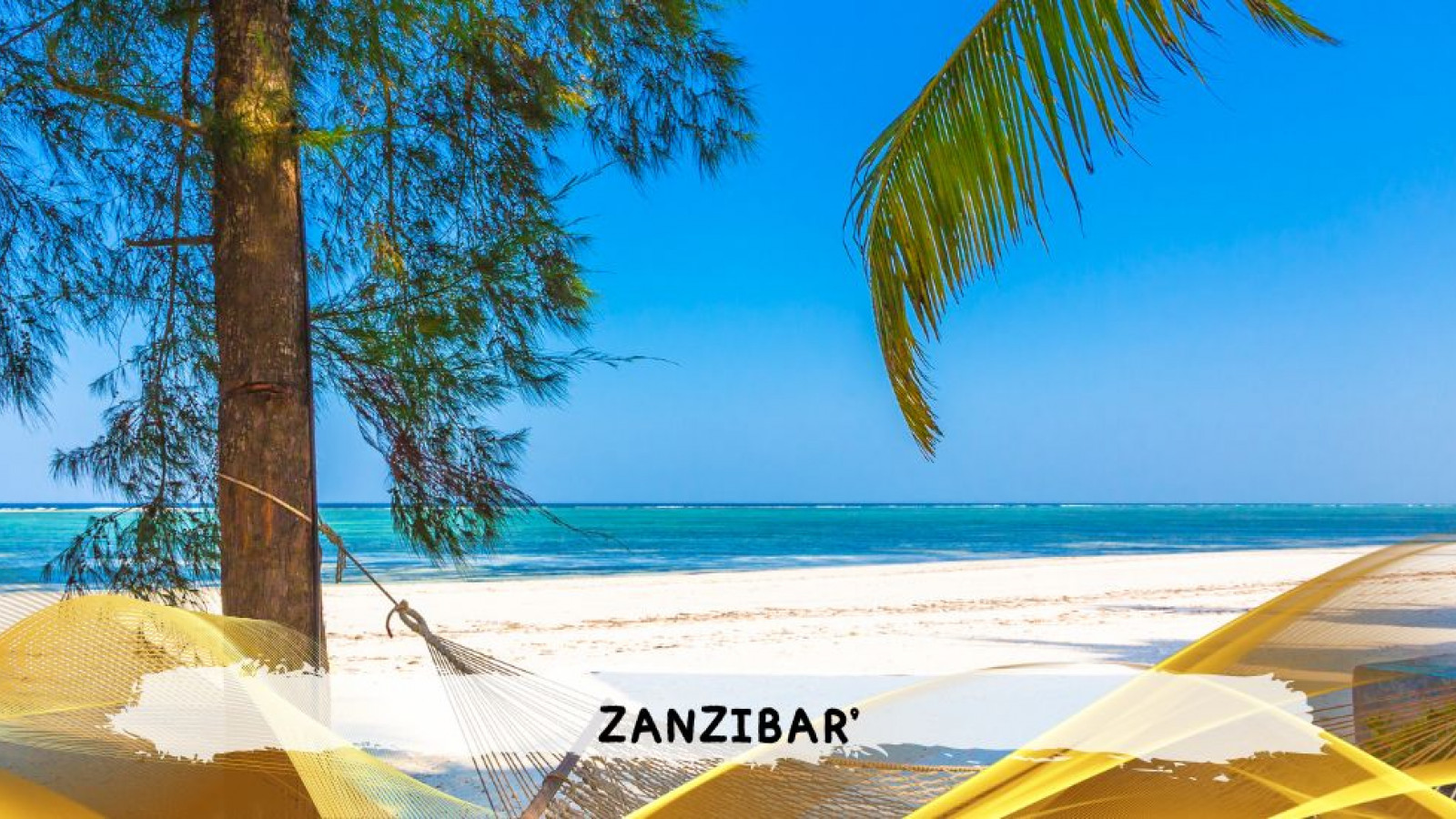 2026 zanzibar 11 08 T IN31