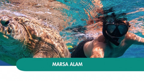 2026 marsa alam halloween T IN31