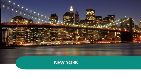 2026 new york halloween T IN31