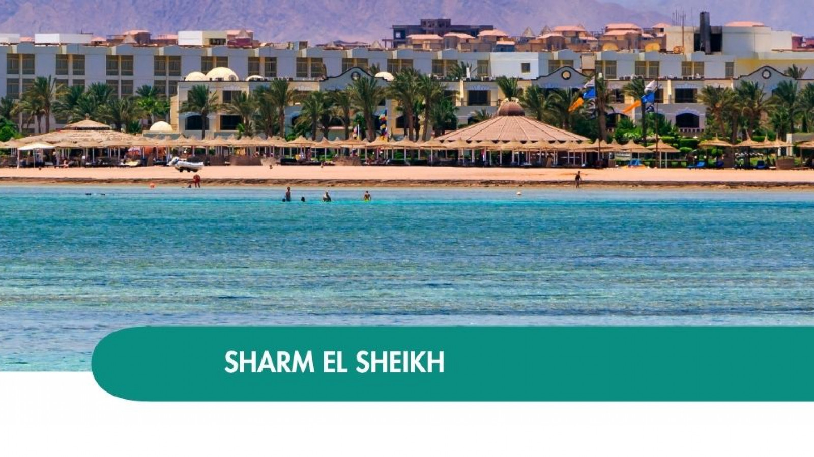 2026 sharm el sheikh queen immacolata T IN31