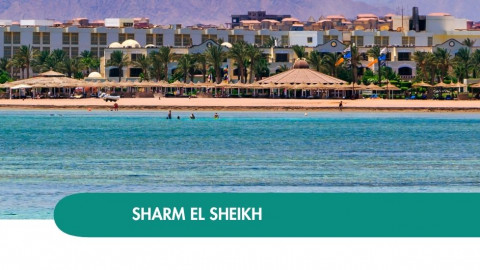 2026 sharm el sheikh queen immacolata T IN31