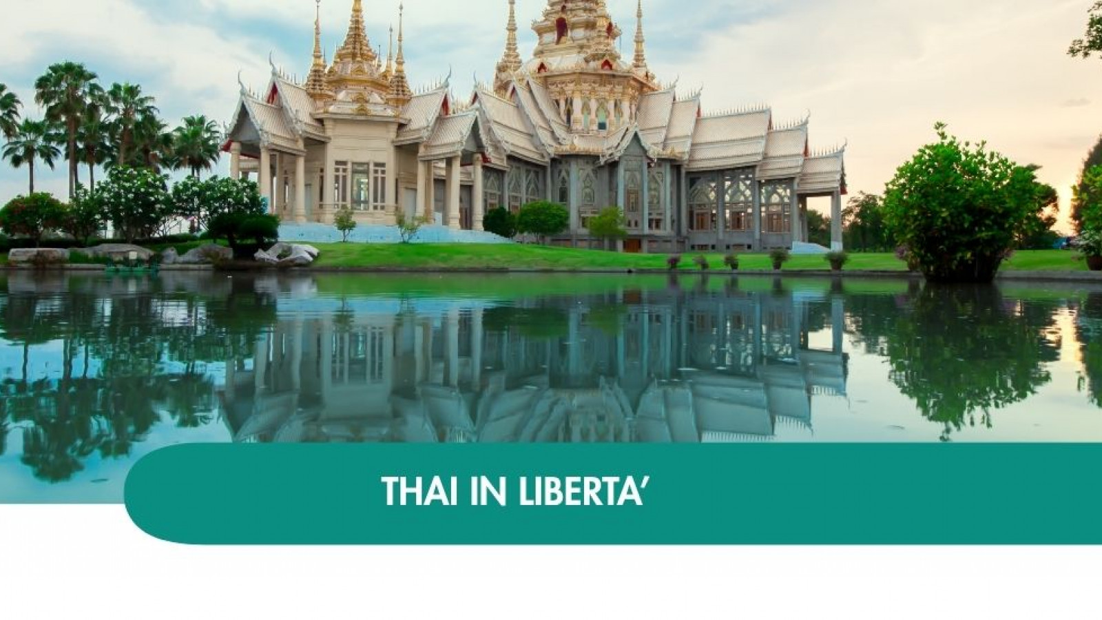 2026 thailandia halloween T IN31
